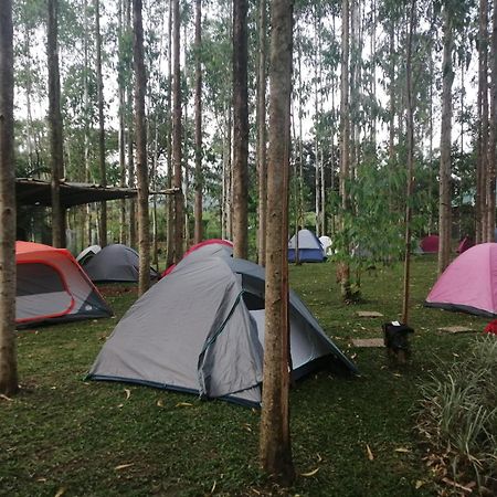 Murchison Backpackers Masindi Luaran gambar