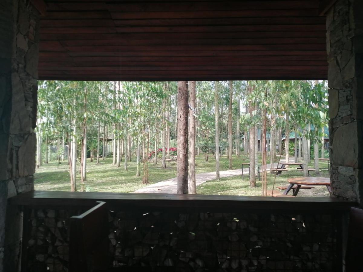 Murchison Backpackers Masindi Luaran gambar