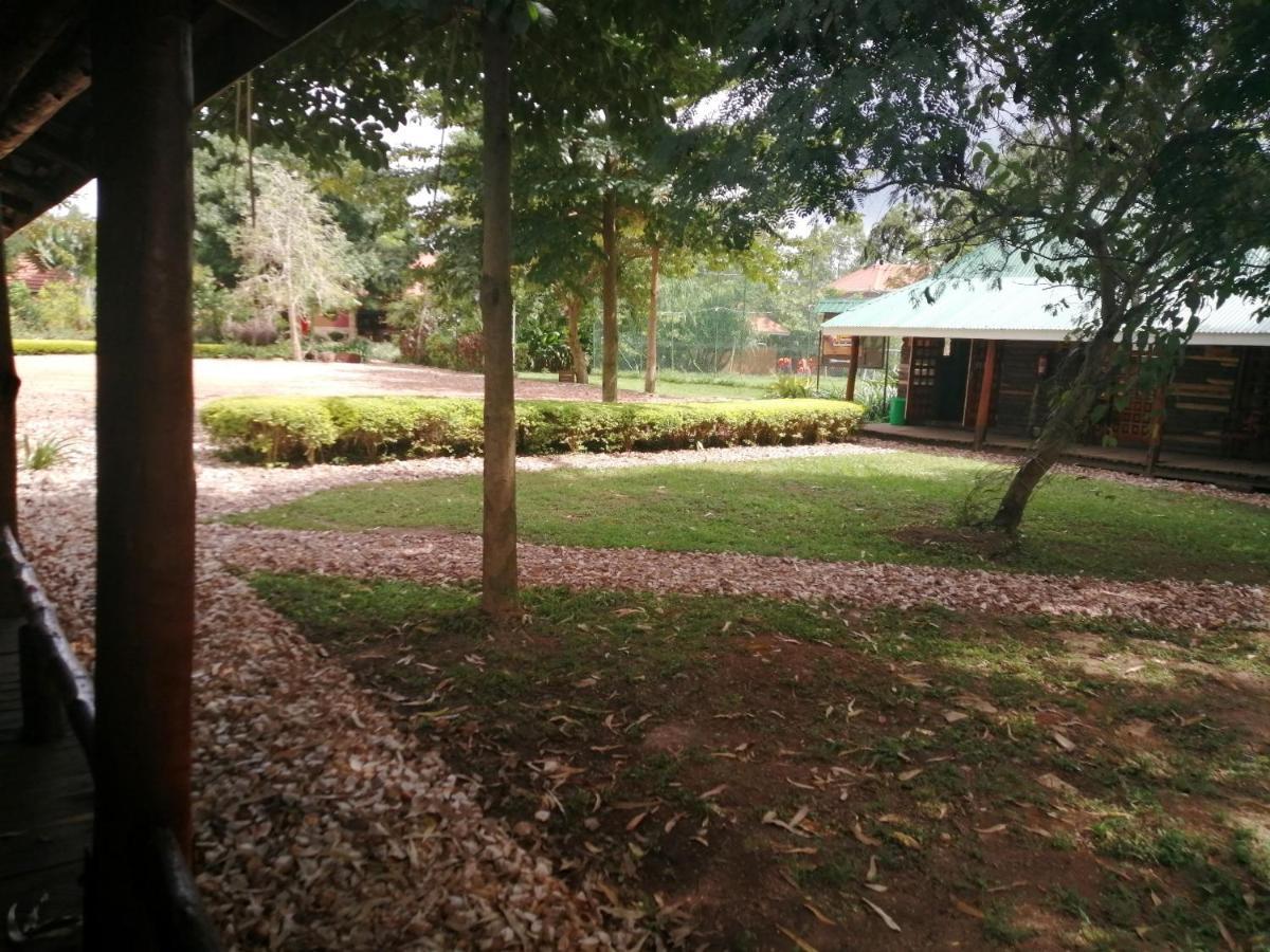Murchison Backpackers Masindi Luaran gambar