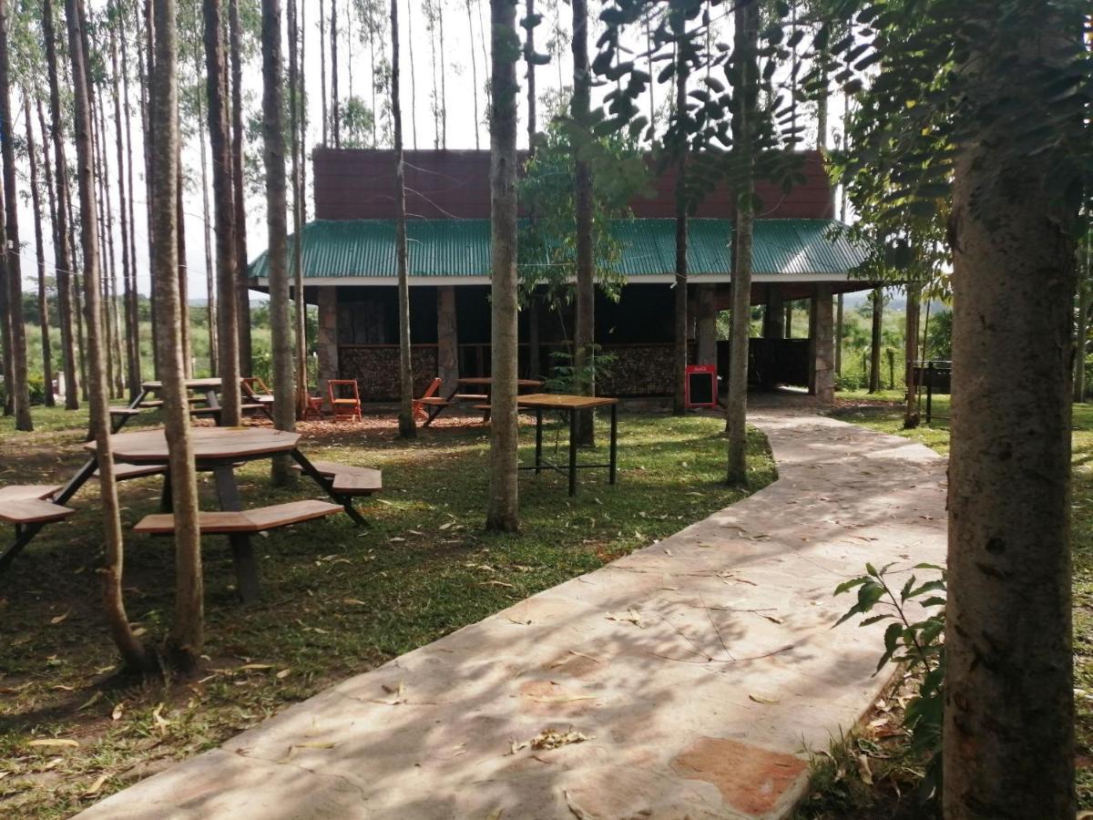 Murchison Backpackers Masindi Luaran gambar