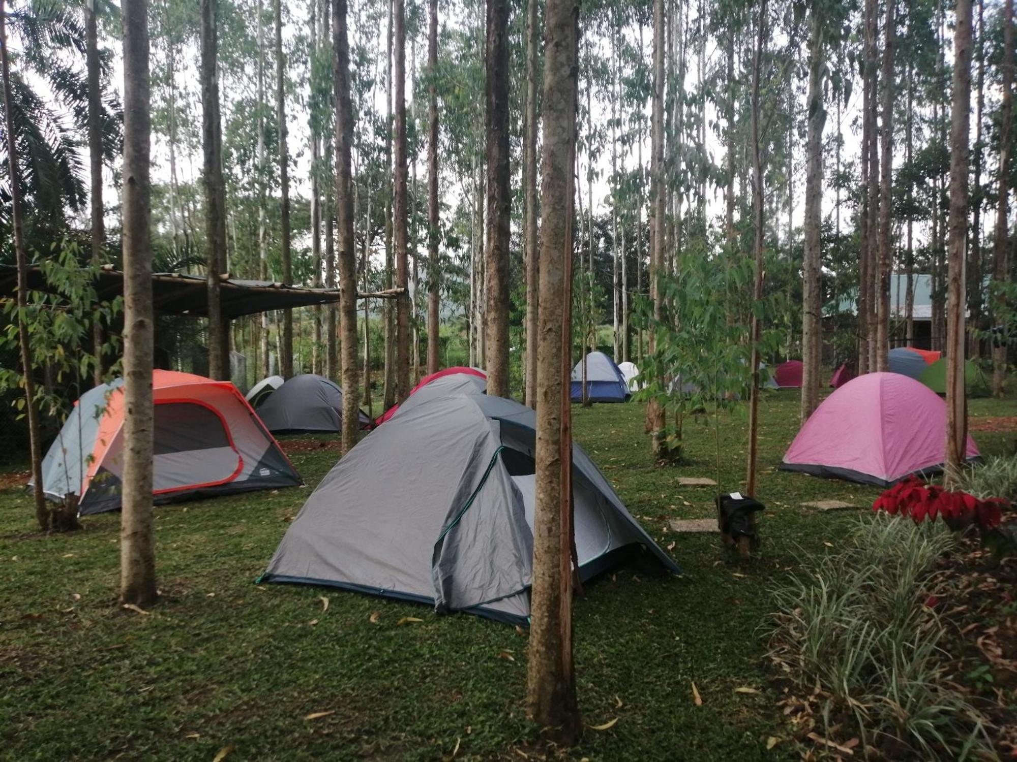 Murchison Backpackers Masindi Luaran gambar